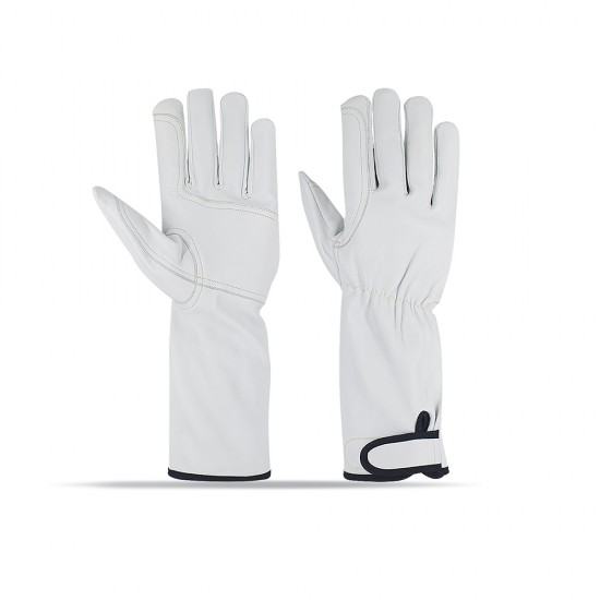 LEATHER DRIVER GLOVES